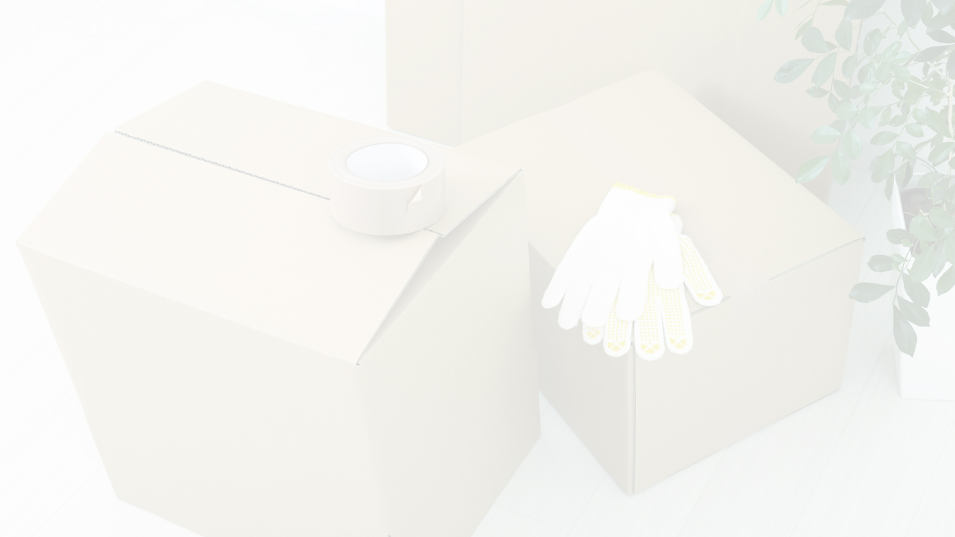 新着情報
