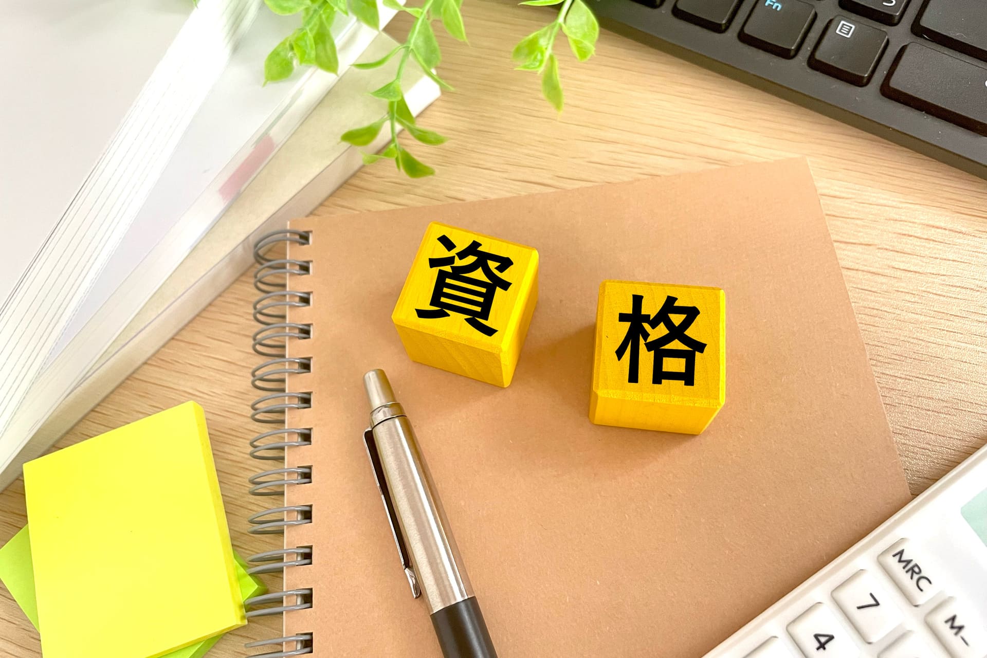 AdobeStock_402674542 (1) (1)